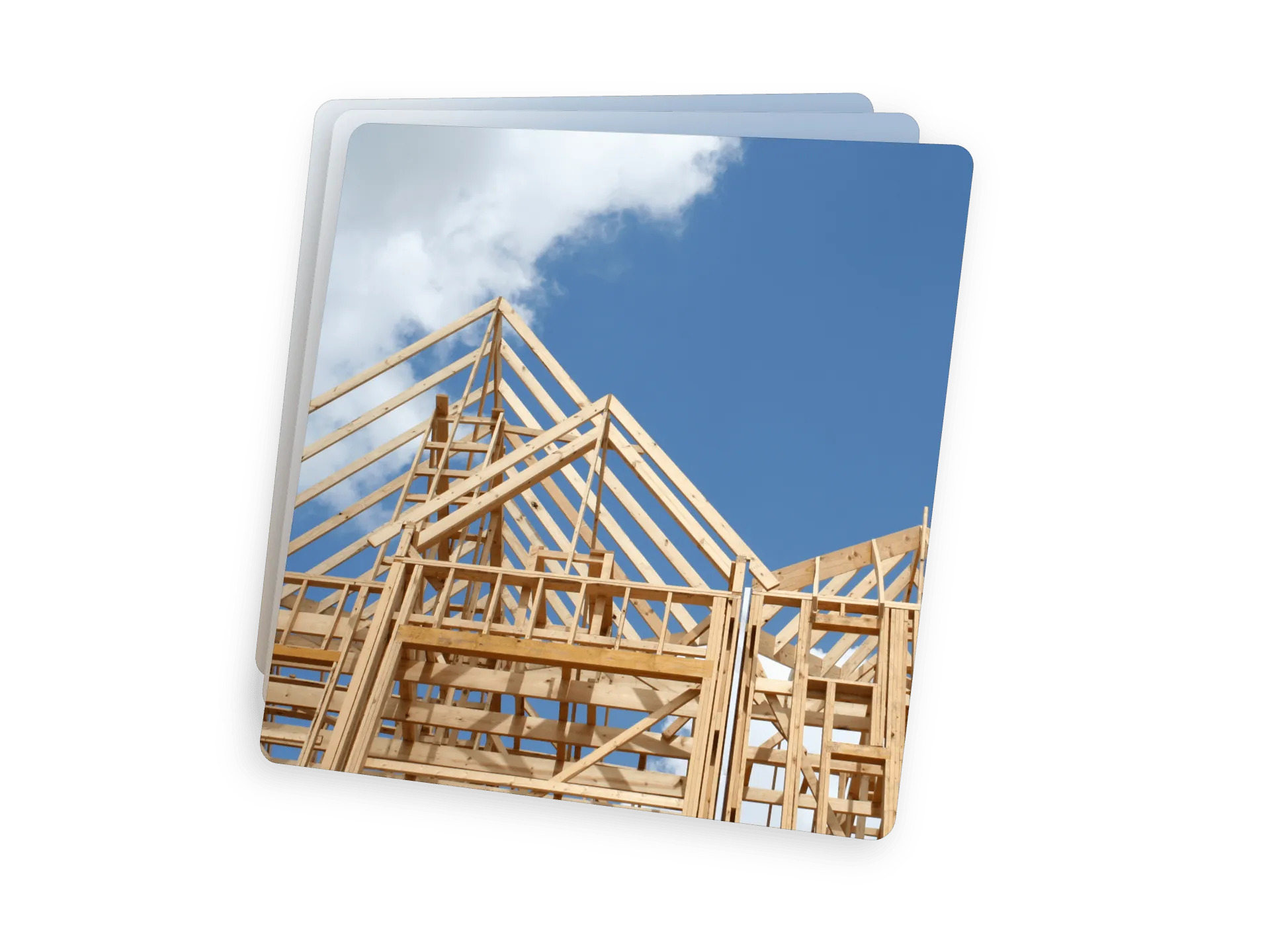 Illustration BoisLocal